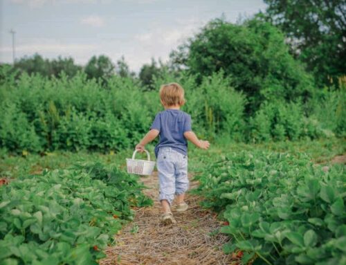 Der nachhaltigste Tipp gegen Food Waste an Eltern