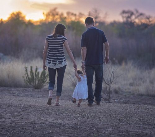 Wir beziehen jetzt Strom von der Sonne! Unsere Erfahrung mit dem Balkonkraftwerk von Solarway & Envertech 23 Bild von Denise Husted / Pixabay