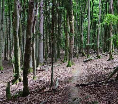 Wir beziehen jetzt Strom von der Sonne! Unsere Erfahrung mit dem Balkonkraftwerk von Solarway & Envertech 14 Wir beziehen jetzt Strom von der Sonne! Unsere Erfahrung mit dem Balkonkraftwerk von Solarway & Envertech 10