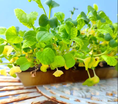 Wir beziehen jetzt Strom von der Sonne! Unsere Erfahrung mit dem Balkonkraftwerk von Solarway & Envertech 19 Wir beziehen jetzt Strom von der Sonne! Unsere Erfahrung mit dem Balkonkraftwerk von Solarway & Envertech 13