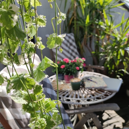 Startseite 10 Outdoor Homeoffice: Tisch, Stühle und Pflanzen auf dem Stadtbalkon